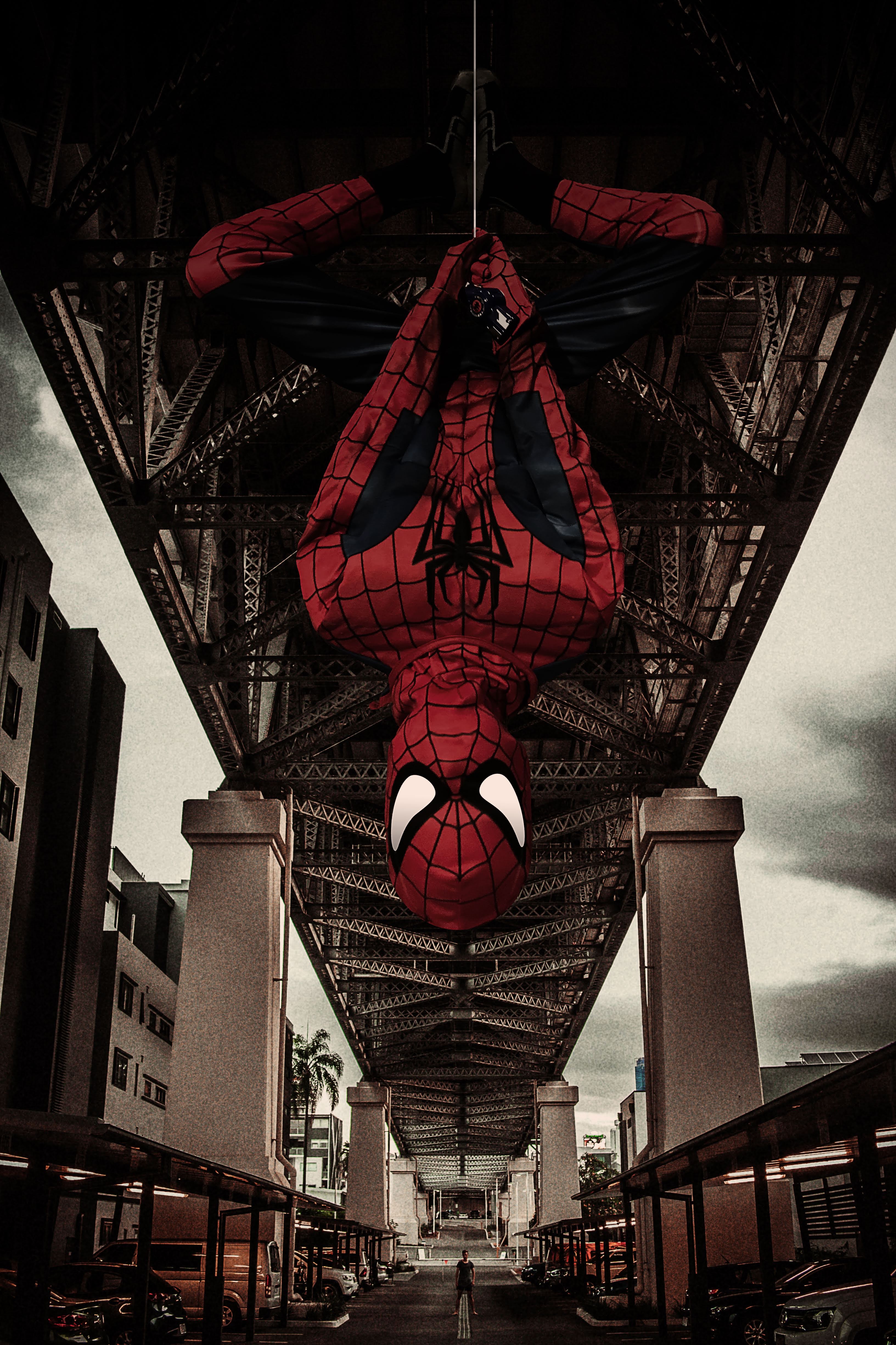 Spiderman Canvas